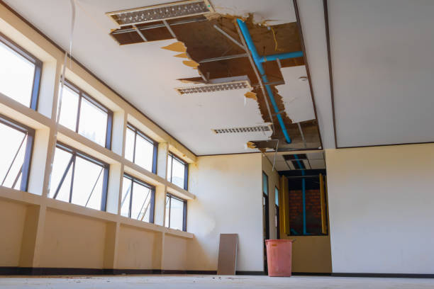Best Carpet water damage restoration  in Charenton, LA