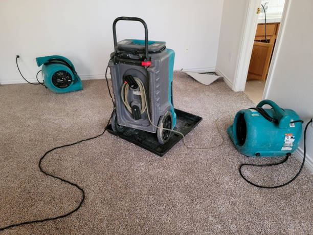 Best Commercial water damage restoration  in Charenton, LA