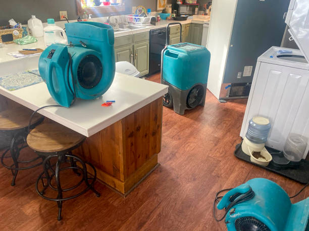 Best Sewage cleanup and water damage restoration  in Charenton, LA