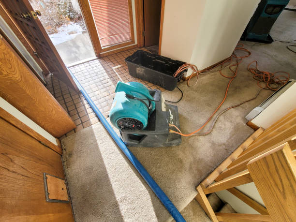 Best 24/7 water damage repair  in Charenton, LA