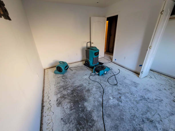 Best Fire Damage Restoration  in Charenton, LA