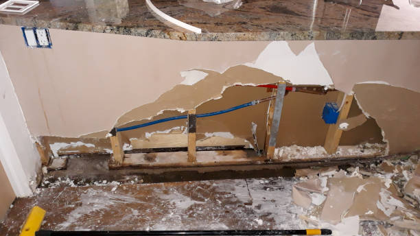 Best Flooded house restoration  in Charenton, LA