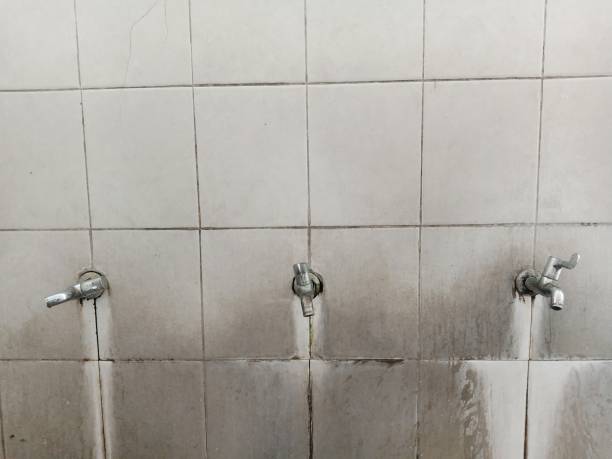  Charenton, LA Water damage restoration Pros