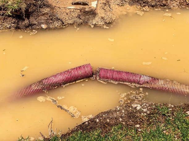 Best Water damage contractors near me  in Charenton, LA