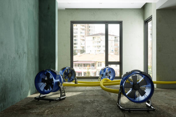 Best Emergency water damage restoration  in Charenton, LA